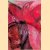 Marc Chagall 1887-1985
Gerald Cramer
€ 10,00 Marc Chagall 1887-1985
Gerald Cramer
€ 10,00