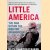 Little America: The War within the War for Afghanistan door Rajiv Chandrasekaran