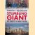 Stumbling Giant: The Threats to China's Future door Timothy Beardson