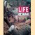 Life at war
Henry Anatole Grunwald
€ 20,00