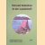 Siedlungsforschung. Archäologie, Geschichte, Geographie. Band 33: Tod und Gedenken in der Landschaft door Thomas - a.o. Meier