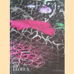 Leolux collectie 2012/2013
Sebastiaan Sanders e.a.
€ 8,00