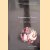 Education and Theory Strangers in Paradigms
Gary Thomas
€ 15,00 Education and Theory Strangers in Paradigms
Gary Thomas
€ 15,00