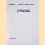 Oeuvres de Pierre Teilhard de Chardin 7: L'activation de l'énergie
Teilhard de Chardin
€ 10,00 Oeuvres de Pierre Teilhard de Chardin 7: L'activation de l'énergie
Teilhard de Chardin
€ 10,00