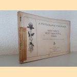 Photographic Panorama New York's Most Beautiful Views. Consecutively arranged from the Bay to the Bronx
Various
€ 20,00 Photographic Panorama New York's Most Beautiful Views. Consecutively arranged from the Bay to the Bronx
Various
€ 20,00