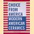 Choice from America: Modern American Ceramics door Arthur C. Danto
