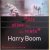 Harry Boom 1945-1995:  "Als alles kan kan niets" / Harry Boom 1945-1995: "If anything is possible nothing is" door Stichting Harry Boom