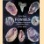 Fossils: The Oldest Treasures That Ever Lived
Rudolf Daber e.a.
€ 10,00
