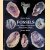 Fossils: The Oldest Treasures That Ever Lived
Rudolf Daber e.a.
€ 10,00 Fossils: The Oldest Treasures That Ever Lived
Rudolf Daber e.a.
€ 10,00