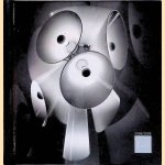 Flos 2008/2009
diverse auteurs
€ 8,00 Flos 2008/2009
diverse auteurs
€ 8,00