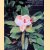 Botanische Tuinen Universiteit Utrecht: Fort Hoofddijk, Utrecht; Von Gimborn Arboretum, Doorn
Miranda Baas
€ 6,00 Botanische Tuinen Universiteit Utrecht: Fort Hoofddijk, Utrecht; Von Gimborn Arboretum, Doorn
Miranda Baas
€ 6,00