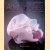 Artists in Glass: Late Twentieth Century Masters in Glass
Dan Klein
€ 15,00 Artists in Glass: Late Twentieth Century Masters in Glass
Dan Klein
€ 15,00