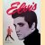 Elvis door Allen William
