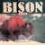 Bison for Kids door Todd Wilkinson