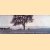 Vintage Photographic Panoramas 1850-1950
Roland - and others Belgrave
€ 10,00 Vintage Photographic Panoramas 1850-1950
Roland - and others Belgrave
€ 10,00