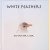 White Feathers *SIGNED*
Jos van der Meer
€ 10,00 White Feathers *SIGNED*
Jos van der Meer
€ 10,00