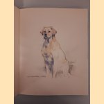 Nenad V. Karpov: aquarellen, crayons, tekeningen *GESIGNEERD en met ORIGINELE TEKENING*
Gerard Metzelaar
€ 30,00 Nenad V. Karpov: aquarellen, crayons, tekeningen *GESIGNEERD en met ORIGINELE TEKENING*
Gerard Metzelaar
€ 30,00