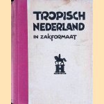 Tropisch Nederland in zakformaat (deel 1-10)
Pieter - en anderen Metselaar
€ 15,00