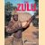 Zulu Traditions and Culture door Aubrey Elliot