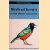 Field Guide to the Birds of Kenya & Northern Tanzania
Dale A. Zimmerman e.a.
€ 30,00