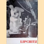 Stedelijk Museum Amsterdam: Jacques Lipchitz
Sandberg
€ 8,00 Stedelijk Museum Amsterdam: Jacques Lipchitz
Sandberg
€ 8,00