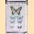 Our butterflies and moths and how to know them
E. Fitch Daglish
€ 10,00