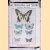 Our butterflies and moths and how to know them
E. Fitch Daglish
€ 10,00 Our butterflies and moths and how to know them
E. Fitch Daglish
€ 10,00