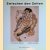 Zwischen den Zeiten: Kunst in Österreich 1908 bis 1938: Von Schiele bis Wotruba - Arbeiten auf Papier
Antonia Hoerschelmann e.a.
€ 10,00