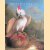 Bird Paintings: The Eighteenth Century door Christine E. Jackson
