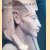 Pharaohs of the Sun: Akhenaten, Nefertiti, Tutankhamen
Rita E. Freed e.a.
€ 20,00