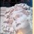 Petra Rediscovered: Lost City of the Nabataeans
Glen W. Bowersock e.a.
€ 20,00