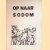 Op naar Sodom: voorstel tot een theologie van de verkeerde kant door Franz-Joseph Hirs