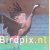 Birdpix.nl: de beste foto's van 2004
Daan Schoonhoven
€ 10,00