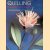 Quilling: Desert Flowers
Jean Woolston-Hamey
€ 12,50 Quilling: Desert Flowers
Jean Woolston-Hamey
€ 12,50