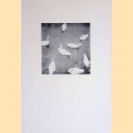 Statische Fragmente
Hermann Gabler
€ 10,00 Statische Fragmente
Hermann Gabler
€ 10,00