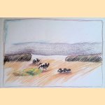 Landschap
Rudi van Dantzig e.a.
€ 12,50 Landschap
Rudi van Dantzig e.a.
€ 12,50