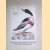 Nederlandsche vogelen 1770-1829. Zestien reproducties in kleur, naar de fraaiste voorbeelden
Christiaan Sepp e.a.
€ 10,00