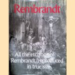 Rembrandt: All the Etchings of Rembrandt reproduced in true size
Alje Olthof
€ 15,00