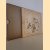 Neue chinesische Farbendrucke aus der Zehnbambushalle: Eine Monographie über das Leben und Werk des Holzschneiders Hu Cheng-yen door Jan Tschichold