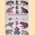 The Book of Frogs: A life-size guide to six hundred species from around the world
Tim Halliday
€ 80,00