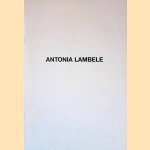 Antonia Lambele door Wim Toebosch