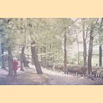 Stille beelden: vroege kleurenfotografie uit het Rijksmuseum door Hans Rooseboom e.a.