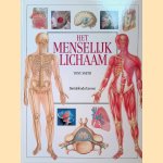Het menselijk lichaam
Tony Smith
€ 12,50