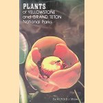 Plants of Yellowstone and Grand Teton National Parks
Richard J. Shaw
€ 6,00 Plants of Yellowstone and Grand Teton National Parks
Richard J. Shaw
€ 6,00