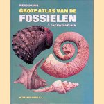 Grote atlas van de fossielen 2: Ongewervelden
Piero da Rio
€ 8,00 Grote atlas van de fossielen 2: Ongewervelden
Piero da Rio
€ 8,00