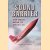 Sound Barrier: the Rocky Road to Mach 1.0+ door Peter Caygill