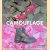 Camouflage: Now You See Me, Now You Don't
Tim Newark
€ 15,00