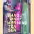 Shawn Mortensen: Out of Mind door Glenn O'Brien