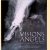 Visions of Angels 35 Photographers Share Their Images
Nelson Bloncourt e.a.
€ 10,00