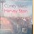 Coney Island door Harvey Stein